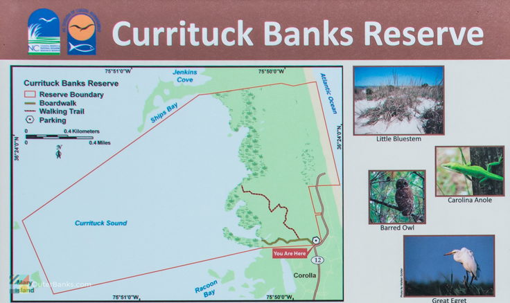 Currituck Banks Coastal Estuarine Reserve