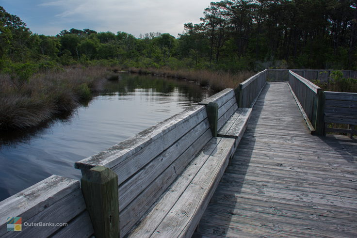 Currituck Banks Coastal Estuarine Reserve