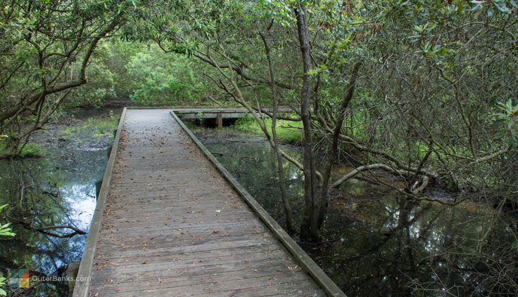 Currituck Banks Coastal Estuarine Reserve