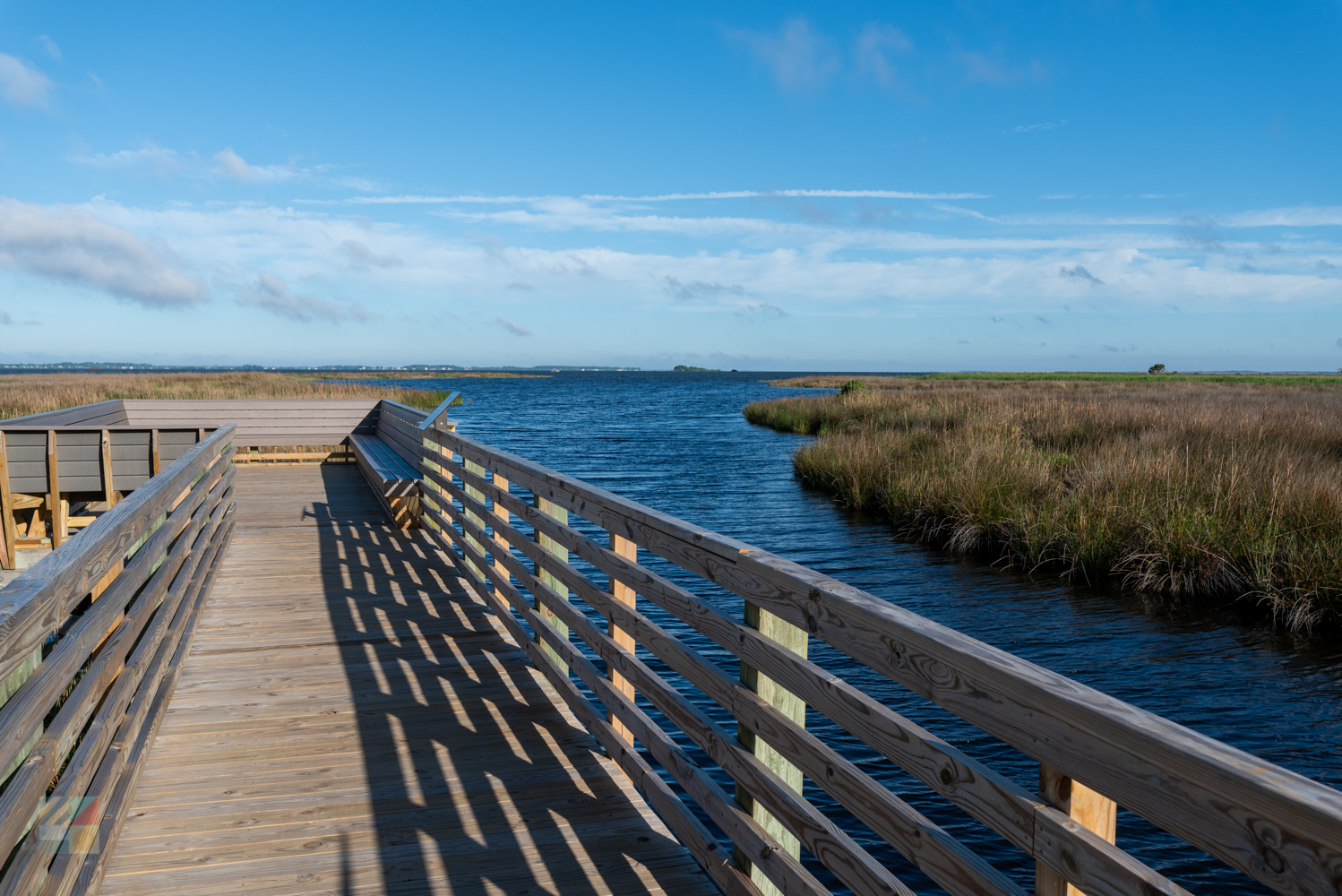 Currituck Banks Reserve