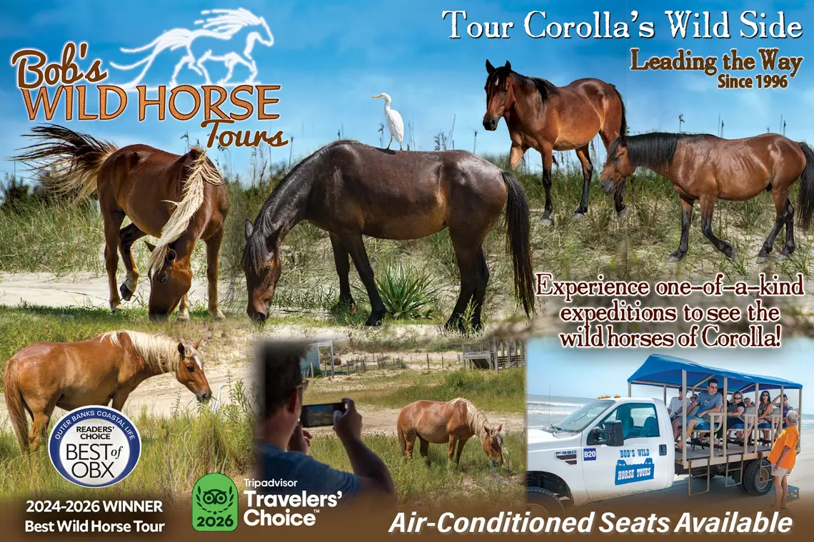Bob's Wild Horse Adventure Tours